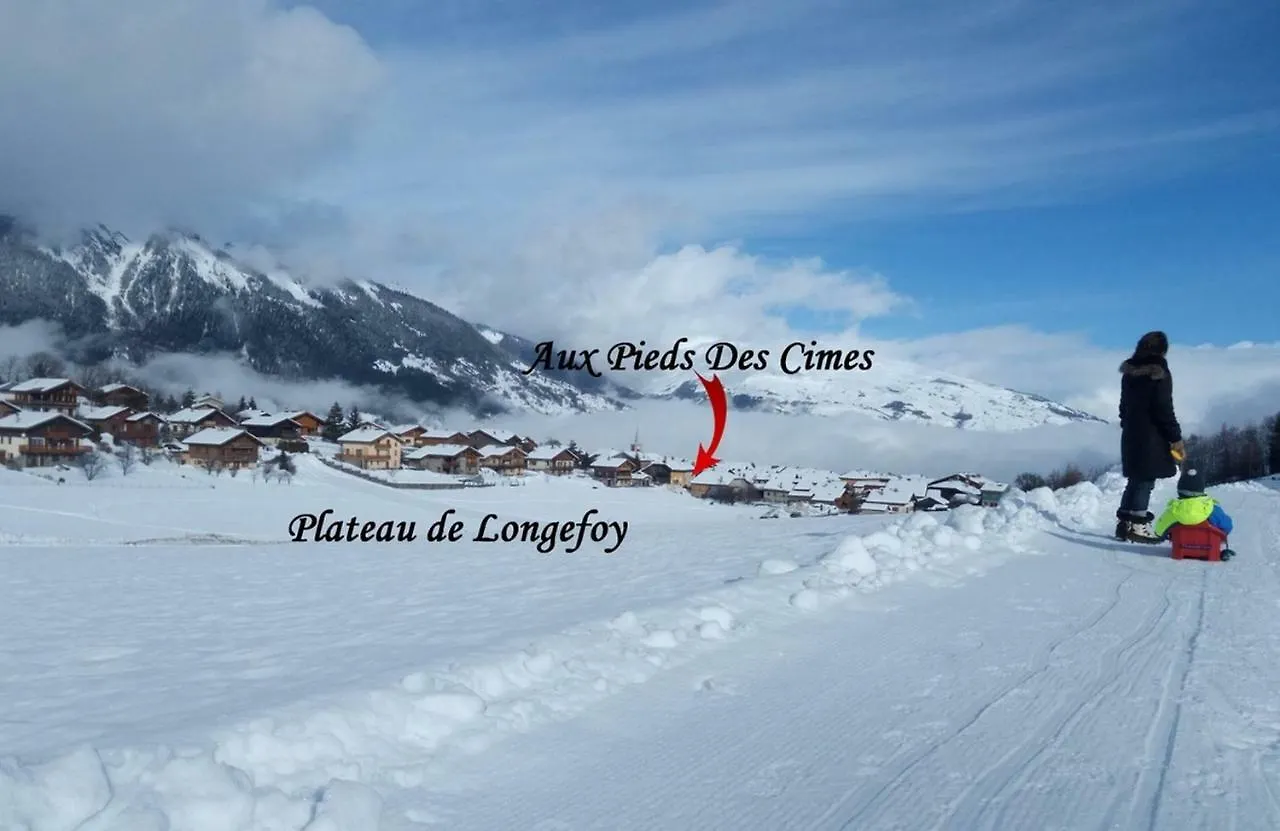Aux Pieds Des Cimes Lägenhet La Plagne 0*,  Frankrike